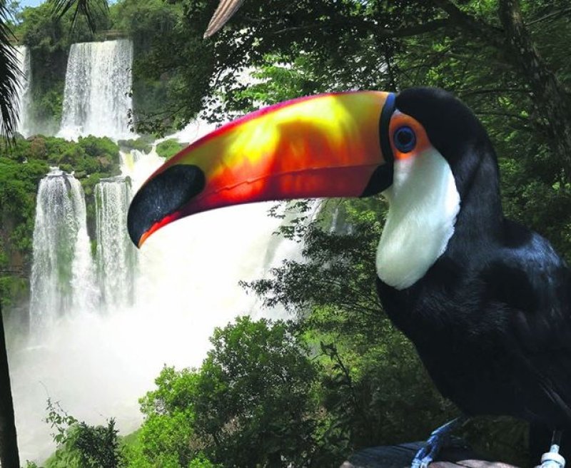 Cataratas | Paquete de viaje por $ 400.000 p/pers. en SoyPasajero.com