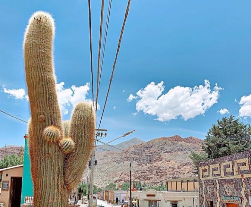 Norte Argentino Full