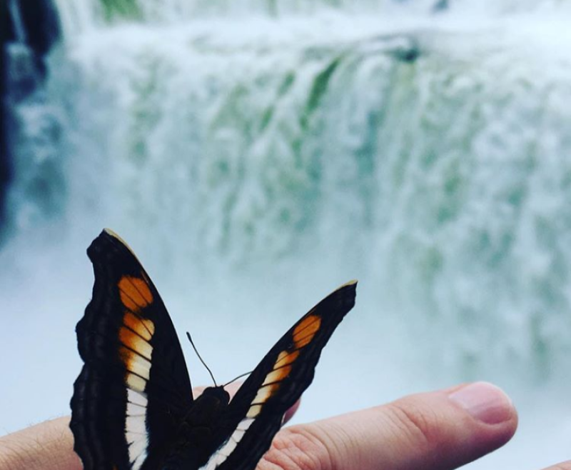 Cataratas Aereo | Paquete de viaje por $ 830.000 p/pers. en SoyPasajero.com