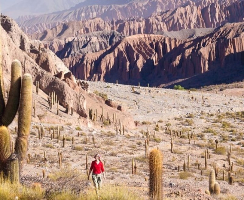Escapada al norte Finde largo | Paquete de viaje por $ 370.000 p/pers. en SoyPasajero.com