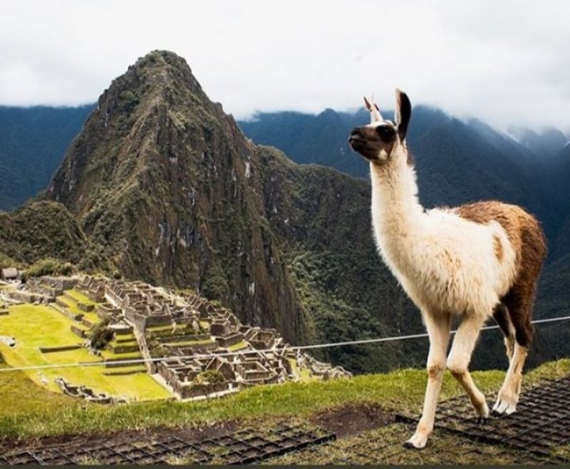 Peru y Bolivia en Bus | Paquete de viaje por USD 1.699 p/pers. en SoyPasajero.com
