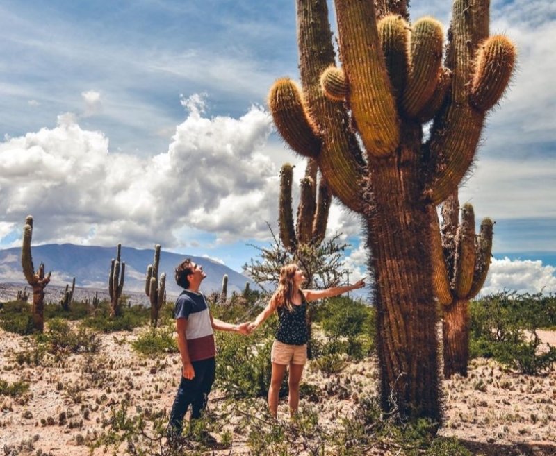 Norte Argentino Full