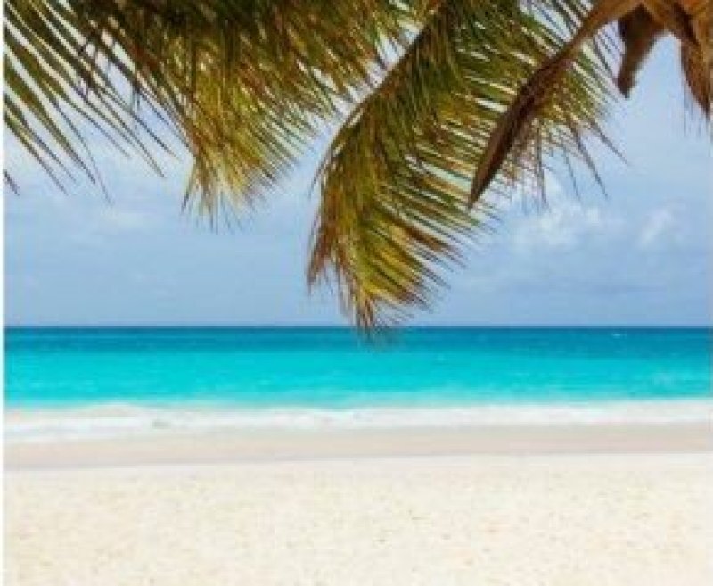 Bayahibe | Paquete de viaje por USD 3.500 p/pers. en SoyPasajero.com