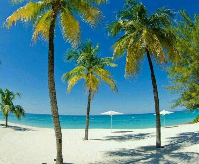 Bayahibe | Paquete de viaje por USD 1.848 p/pers. en SoyPasajero.com