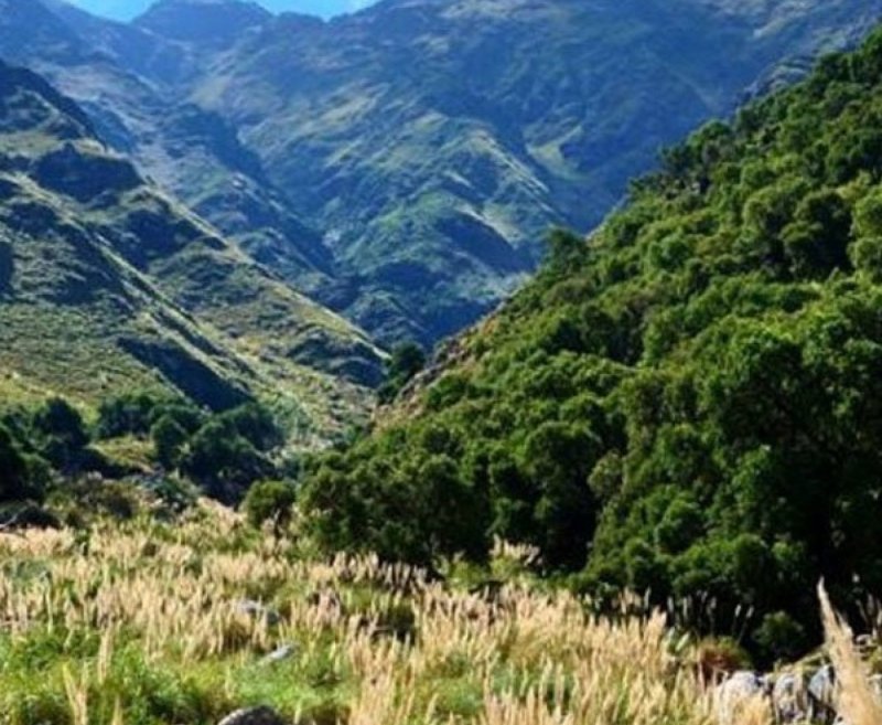 Merlo | Paquete de viaje por $ 330.000 p/pers. en SoyPasajero.com