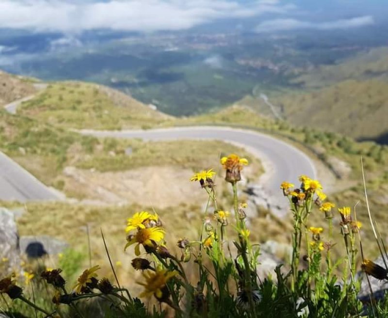 Merlo | Paquete de viaje por $ 300.000 p/pers. en SoyPasajero.com